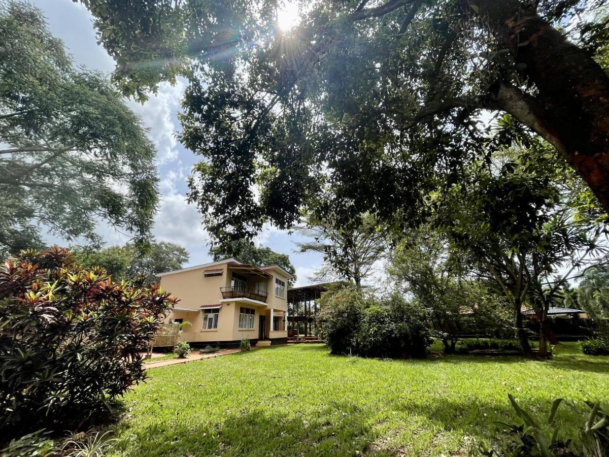 Auberge de jeunesse Jinja Backpackers Extérieur photo