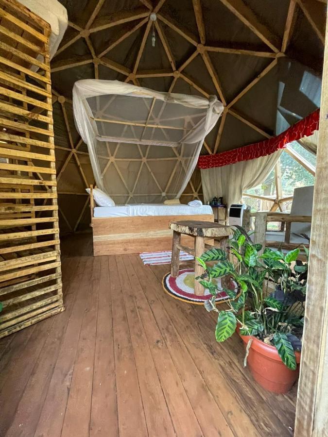 Auberge de jeunesse Jinja Backpackers Extérieur photo