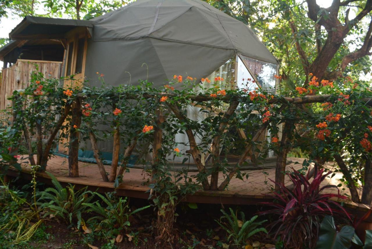 Auberge de jeunesse Jinja Backpackers Extérieur photo