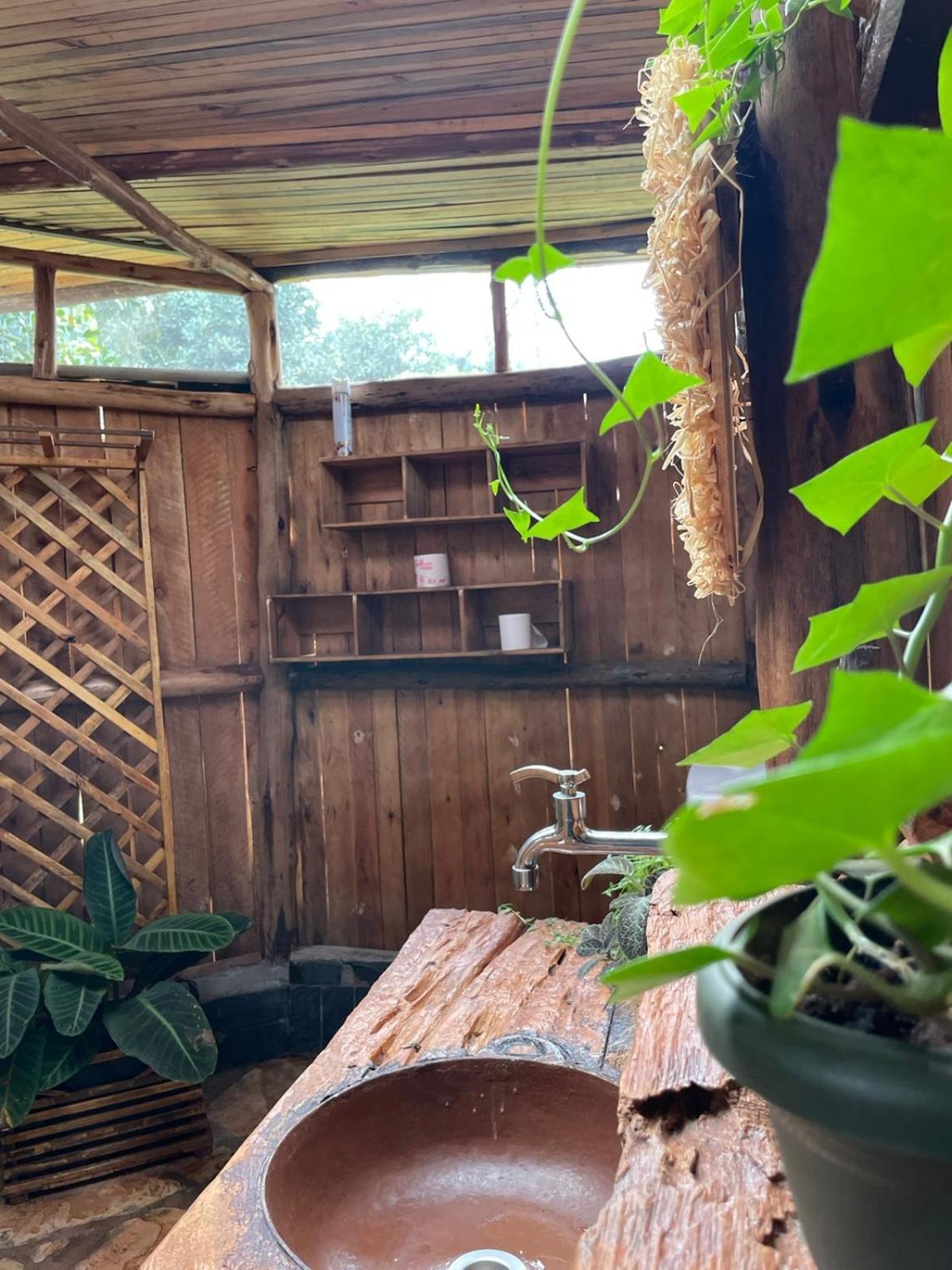 Auberge de jeunesse Jinja Backpackers Extérieur photo