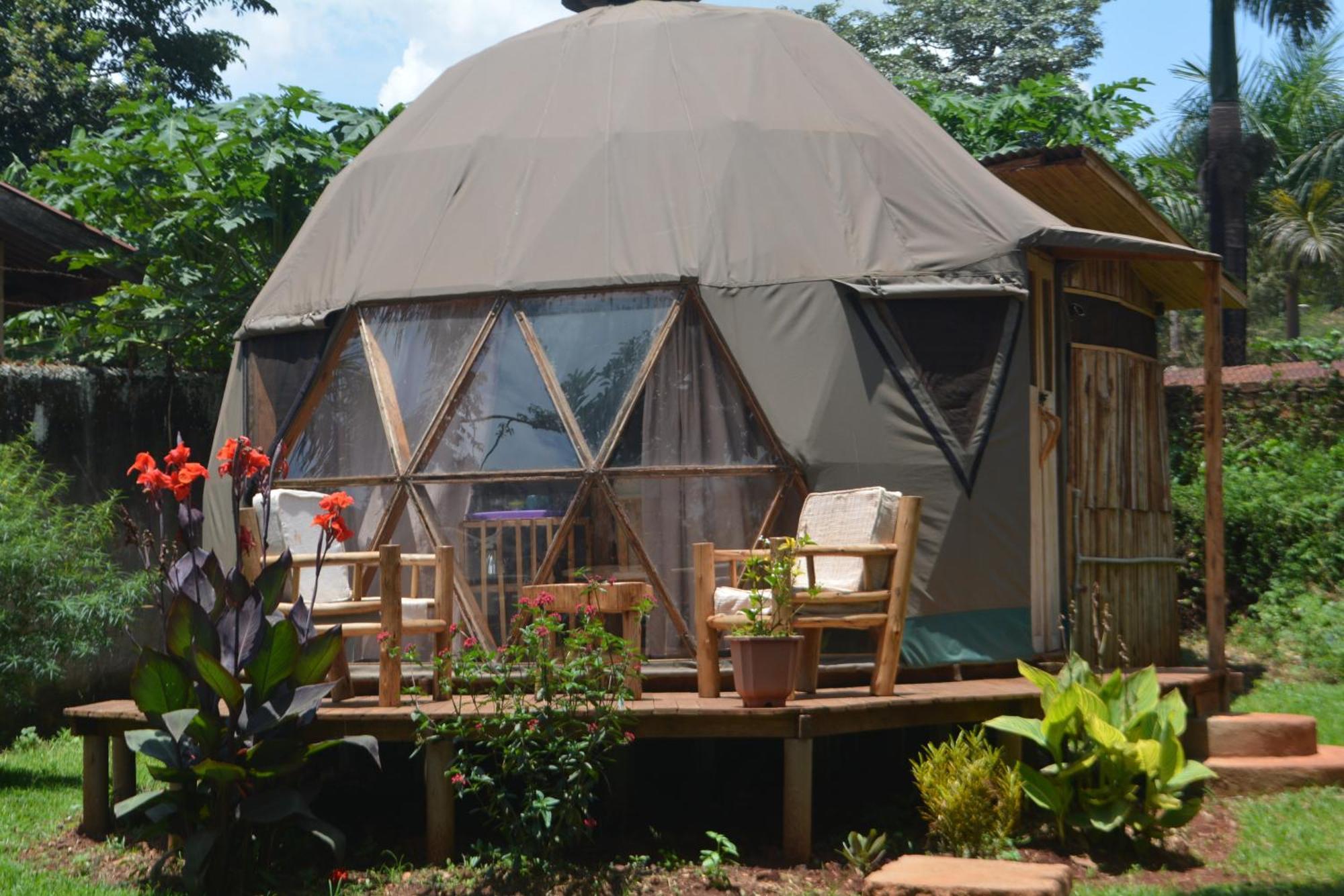 Auberge de jeunesse Jinja Backpackers Extérieur photo